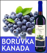 Borůvkové víno - kanadská borůvka skleněná láhev 0,75 l