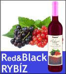 obrazek /media/images_product/1/n/09_rybiz_redblack_tlac-bila-1734369462_1.jpg